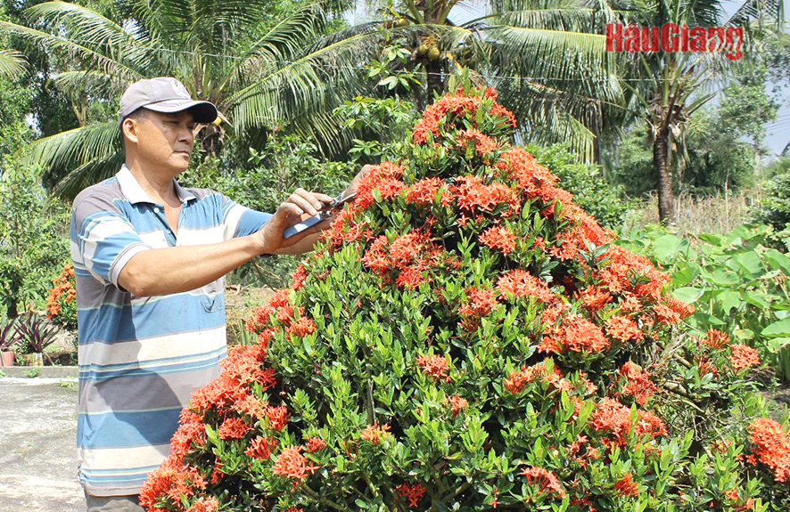 Đồng bào dân tộc Khmer hướng về Ngày hội đại đoàn kết